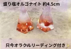 Item thumbnail for item d5f73e24-4deb-4a6b-8d06-e8040acc0c59