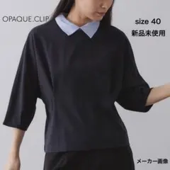 Item thumbnail for item ffe87074-404c-4736-bb0f-bb9e2d3f587e