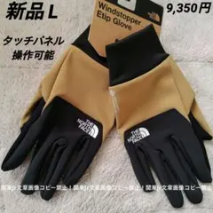 ノースフェイス 防寒グローブ ウィンドストッパー イーチップ UB色 新品L