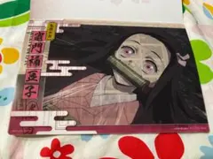 鬼滅の刃　クリアビジュアルポスター　竈門ねずこ