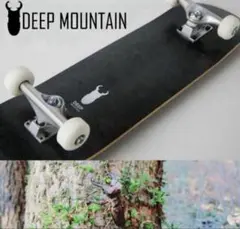 《新品》DEEP MOUNTAINコンプリート7.75×31.25 #5 BK