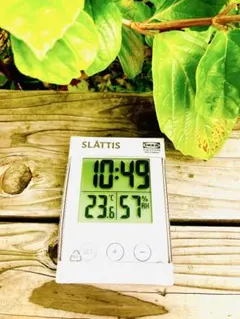 Item thumbnail for item 7a050027-13d3-417c-bd7f-14e9b249209c