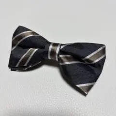 Item thumbnail for item 6b23c08a-a00f-485b-b41e-f1ba8e9fae4d