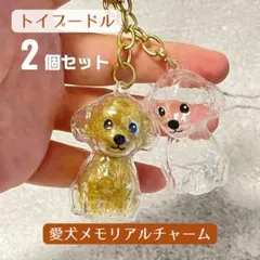 Item thumbnail for item 5b21a21b-f88c-4341-9a0f-46e6d15ed15a