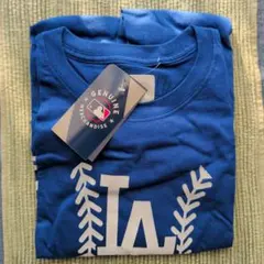 Item thumbnail for item 8f4a9e77-56dc-46f9-99c1-85a6fa1c9cc3