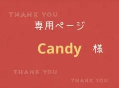 Candy様専用ページです。