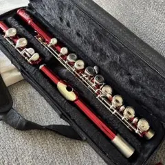 2026年最新】管楽器・吹奏楽器の人気アイテム - メルカリ