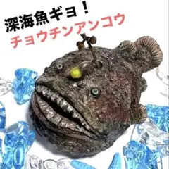 チョウチンアンコウ　魚　魚類　ライト　キーホルダー チョウチンアンコウ 魚 魚類 ライト キーホルダー - メルカリ