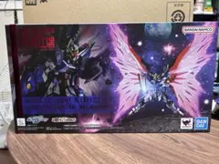 METAL ROBOT魂　デスティニー＆光の翼 2セットのサムネイル