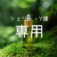 シェリー.Ｙ様専用ページ✩︎⡱