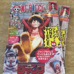ワンピースマガジン　プロモのみ2枚