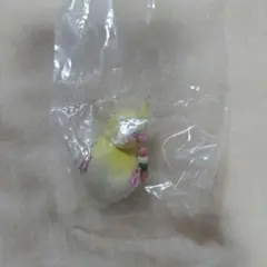 はぴ♡様専用　インコセット