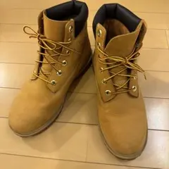 Item thumbnail for item 94eeeef5-0a68-43a8-ba09-53b6c1654dfe