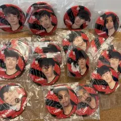 バレーボール男子日本代表カプセル缶バッジコレクション