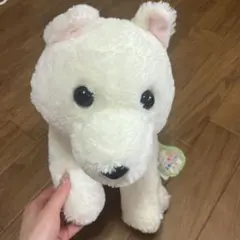 AMUSE くったり柴犬 ぬいぐるみ ホワイトのサムネイル