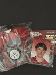 バレーボール男子日本代表 石川祐希 ガチャ ユニフォームミニフォトホルダー
