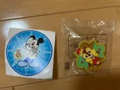 ディズニーシー5周年　ピンバッジ　シール