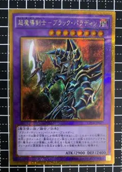 2025年最新】ブラックパラディン 初期の人気アイテム - メルカリ