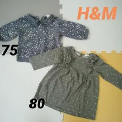 Item thumbnail for item d535bab5-0c2c-4dd0-9740-27660ef46bd4