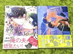 久我慶一と高嶺の夫　黒井つむじ / ハイド・アンド・シーク　渚アユム