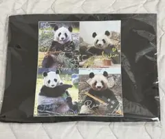 アドベンチャーワールド パンダ 彩浜 楓浜 良浜 結浜 限定 トートバッグ