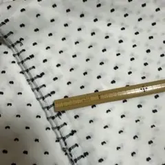 Item thumbnail for item ef5fbfeb-f140-480f-b994-358c40ecc4c8