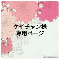 ケイチャン様専用ページ