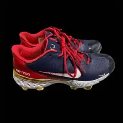 Item thumbnail for item 748b0b99-b401-4957-83e0-e13bfecd2ec4