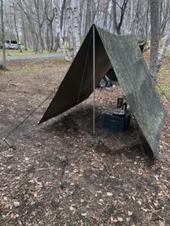 Item thumbnail for item 70da1842-07ac-4cbc-b1f5-cacd9bc93404