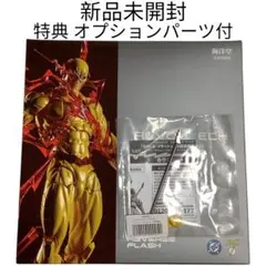 2025年最新】アメイジング・ヤマグチ フラッシュの人気アイテム - メルカリ