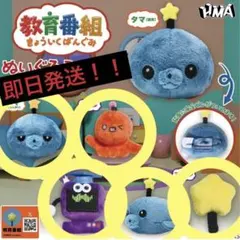 教育番組 ぬいぐるみバッジ 5種セット