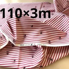 ココランド オックスプリント 未使用 110×3m 黒猫　ピンク　ストライプ