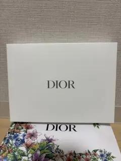 DIOR ディオール エナメル ポーチ ノベルティ レッド 赤