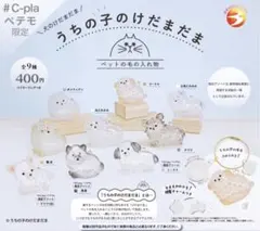 うちの子のけだまだま　犬のけだまだま　チワワ