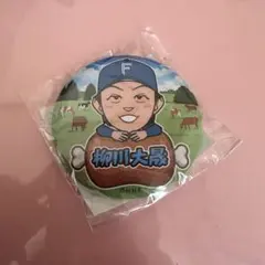 Item thumbnail for item cf74e582-a4d3-42fc-aad3-c5f347749dd1