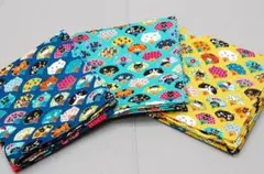 Item thumbnail for item 1c9ae70d-8c97-481a-b8e2-b15d5a8b0bd5