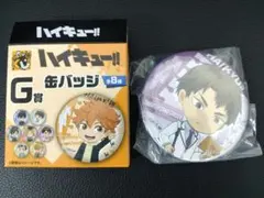 グッスマくじ ハイキュー！！ G賞 牛島若利缶バッジ - メルカリ