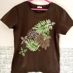 ハワイアンＴシャツ（マウナロア）