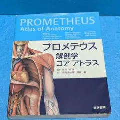 2026年最新】プロメテウス解剖学コアアトラス第4版の人気アイテム
