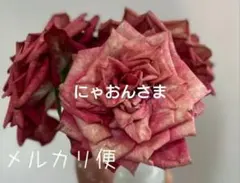 レア❀ご購入前にコメントお願い致します❀ バラ 苗 切り花品種 - メルカリ