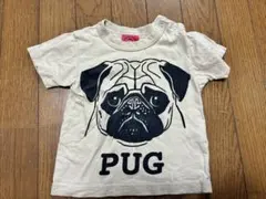 OJICO PUG Tシャツ クリーム色