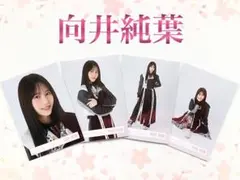 櫻坂46 向井純葉　黒衣装　コンプ