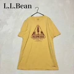 Item thumbnail for item 2bc3e315-5e76-45ff-adcc-63bf88980b90