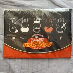 フジパン ミッフィー た〜っぷりハッピーバッグ　新品未開封のサムネイル