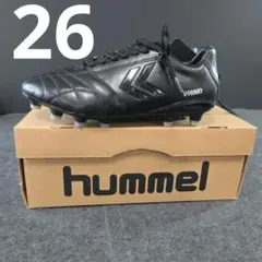 Item thumbnail for item 3fd09212-5301-4768-bbae-de3749226b18