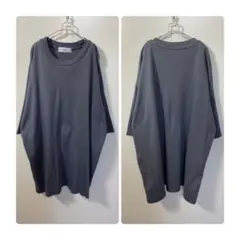 オーバーサイズTシャツ☆フレームワーク好き、ビームス好き、スピックアンドスパンに