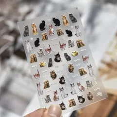 No.1838　3D立体　猫　写真　ネイルシール