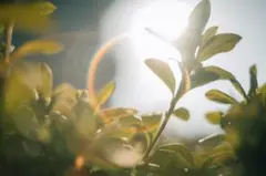 Item thumbnail for item bc3d14e0-ffbb-4e3c-bc90-0847ee367c8b