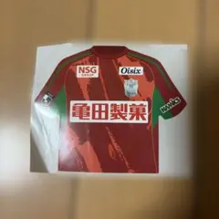 最終値下げ】アルビレックス新潟 奥村仁 サイン入りクッション - メルカリ
