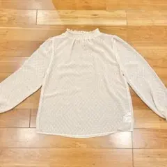 レディース ブラウス トップス ベージュ